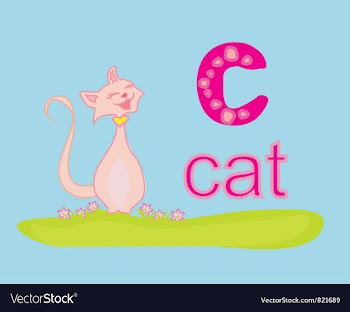 Animal alphabet C with cat vector image