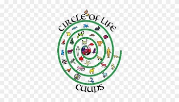 Animal Alphabet - Circle Of Life