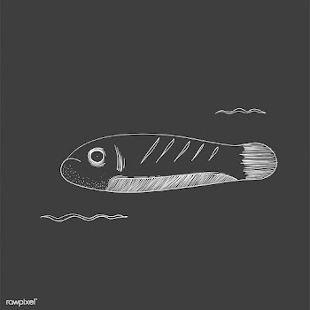 Animal aquarium aquatic | Free stock vector - 47019