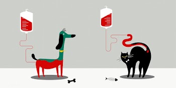 Animal blood donation vector illustration | Free stock vector - 462218