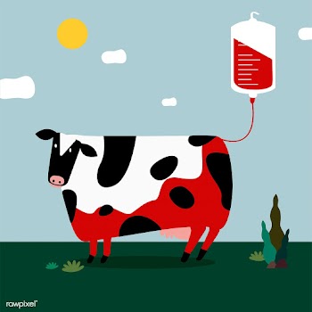 Animal blood donation vector illustration | Free stock vector - 462226