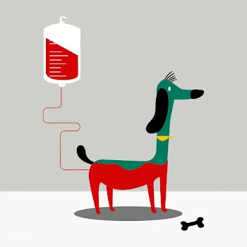 Animal blood donation vector illustration | Free stock vector - 462258