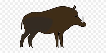 Animal Boar Forest Nature Boar Boar Boar B - Wild Boar Clipart