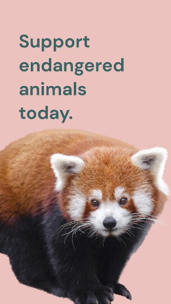 Animal conservation Facebook story template, | Free Vector Template - rawpixel