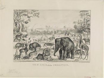 Animal creation (1875) by Currier | Free Photo - rawpixel