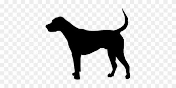 Animal Dog Foxhound Mammal Nature Silhouet - Remove Ticks From Dogs