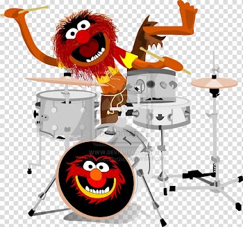 Animal Drummer Drums Music, drum transparent background PNG clipart