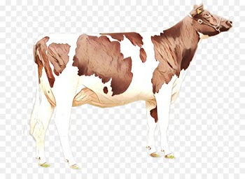 animal figure dairy cow bovine terrestrial animal calf