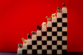Animal Figurines on Staircase of Interlocking Toy