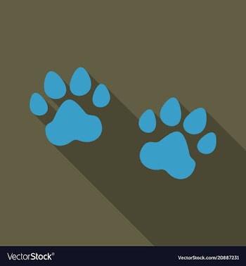 Animal footprint isolated on background dog paw vector image
