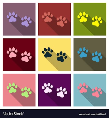 Animal footprint isolated on background dog paw vector image
