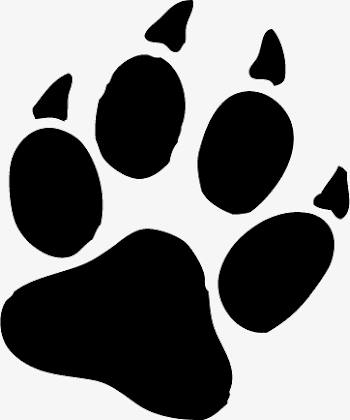 Animal Footprints, Paw Prints, Animal, Paw Print PNG and Vector for ...