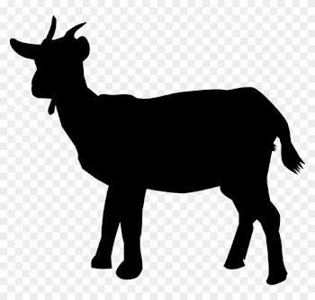 Animal, Goat, Nature, Silhouette - Goat Silhouette