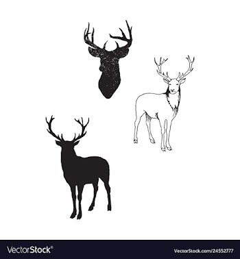 Animal icons set outline set of 25 animal icons vector image