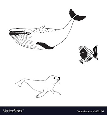 Animal icons set outline set of 25 animal icons vector image