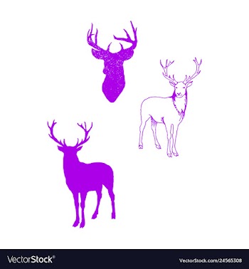 Animal icons set outline set of 25 animal icons vector image