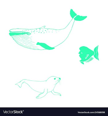 Animal icons set outline set of 25 animal icons vector image