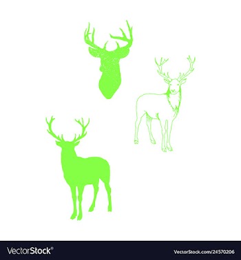 Animal icons set outline set of 25 animal icons vector image