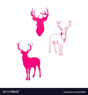 Animal icons set outline set of 25 animal icons vector image