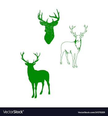 Animal icons set outline set of 25 animal icons vector image