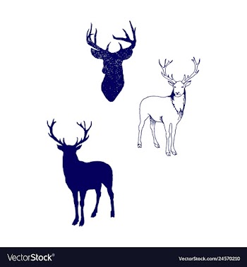 Animal icons set outline set of 25 animal icons vector image
