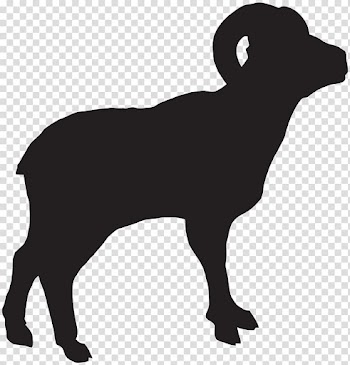 Animal illustration, Bighorn sheep Bighorn Mountain Dall sheep , Bighorn Sheep Silhouette transparent background PNG clipart