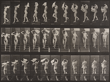 Animal Locomotion Plate 133 (1887) | Free Photo - rawpixel