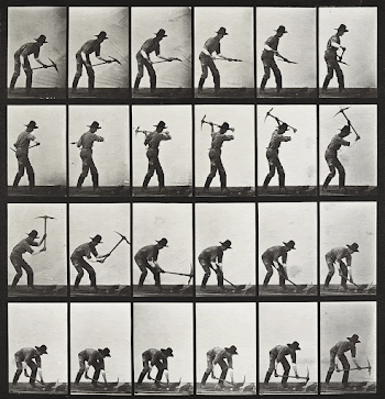 Animal Locomotion Plate 386 (1887) | Free Photo - rawpixel