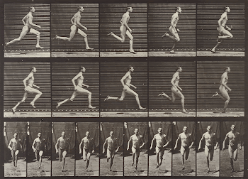 Animal Locomotion Plate 60 (1887) | Free Photo - rawpixel