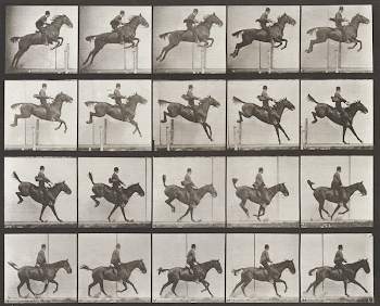 Animal Locomotion Plate 637 (1887) | Free Photo - rawpixel