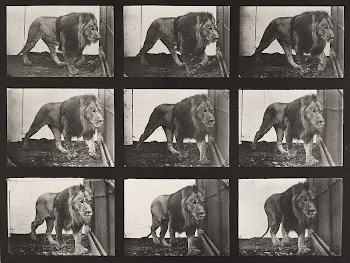 Animal Locomotion Plate 721 (1887) | Free Photo - rawpixel
