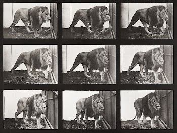 Animal Locomotion Plate 721 (1887) | Free Photo - rawpixel