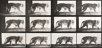 Animal Locomotion Plate 729 (1887) | Free Photo - rawpixel