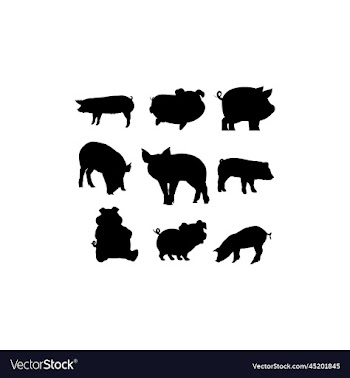 animal pig cute collection silhouette set design