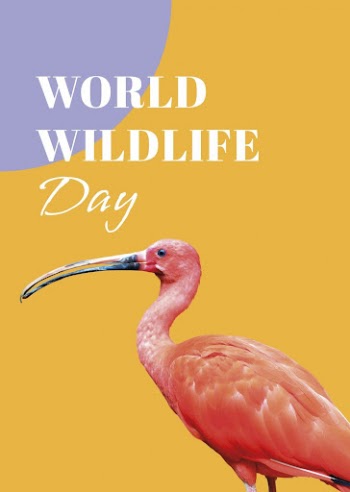 Animal poster template, world wildlife | Free PSD Template - rawpixel