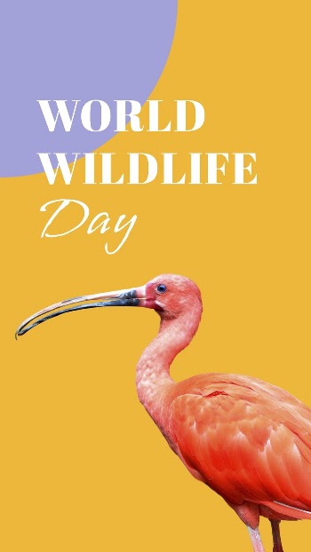 Animal protection Instagram story template, | Free Vector Template - rawpixel