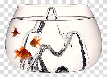 Animal s, three red gold fish on glass bowl transparent background PNG clipart