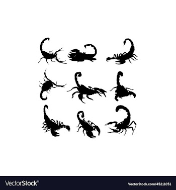 animal scorpion scary silhouette collection design
