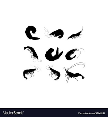 animal shrimp sea set creative design