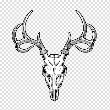 Animal skull , Deer Skull Drawing Illustration, Sheep Tattoo transparent background PNG clipart