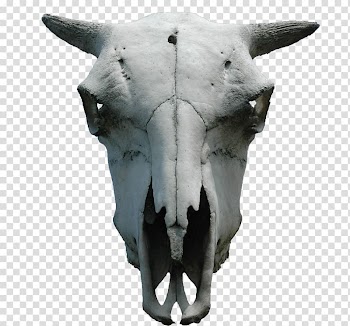 Animal Skulls Bone, watercolor animals transparent background PNG clipart