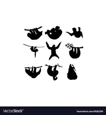 animal sloth set icon