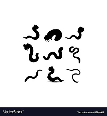 animal worm set icon