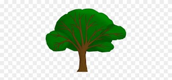 Animales Dibujos - Maidenhair Tree
