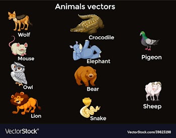 animals