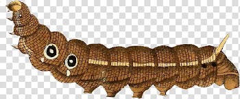 Animals and Plants, brown caterpillar transparent background PNG clipart