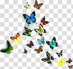 ANIMALS, assorted-color butterfly transparent background PNG clipart