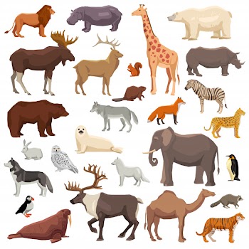 Animals big set