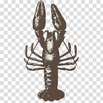 Animals, black lobster transparent background PNG clipart