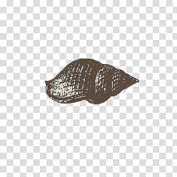Animals, black snail transparent background PNG clipart